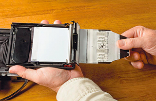 Illustration for article titled Gray Matter: DIY X-Ray Photos